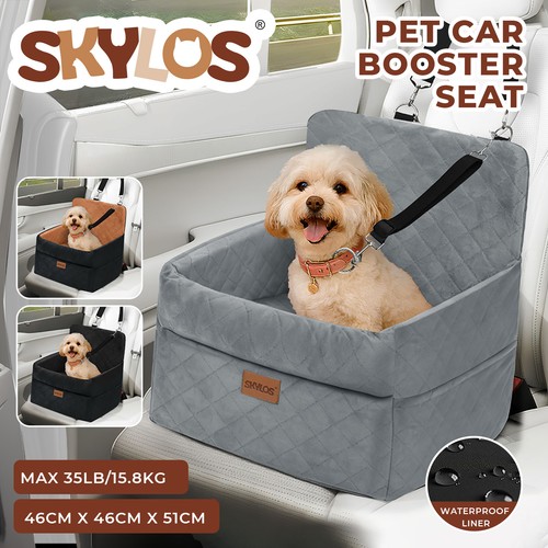Skylos dog car - dog, small