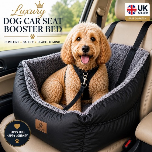 Luxury medium dog car - dog,